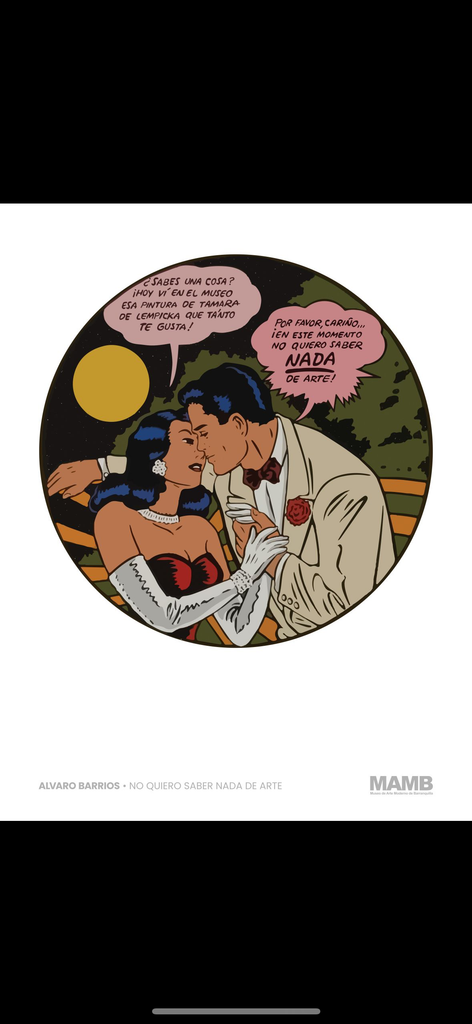 Cojin del artista Alvaro Barrios